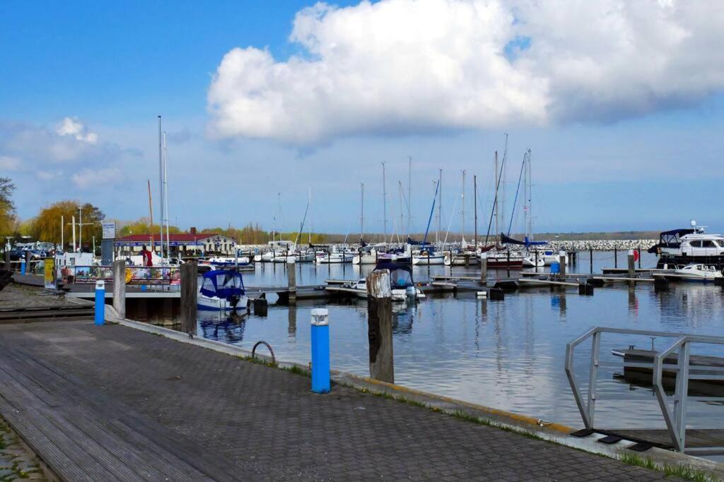 Wohnen Im Hafen Von Barth Mit Gemuetlicher Terrasse บาร์ท ภายนอก รูปภาพ